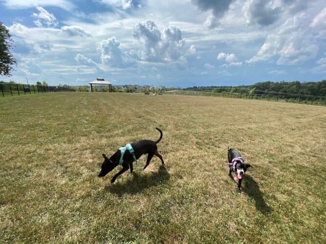 AC9h4nrZTm8QEJ8xzWlECgBQlZeDg1EIwcXR75UTzSjCamqxucyDZ RR1O4vCm1XMiG4lyX7c7AFDsppa9NCZF9eBVWrCDZ5CWelPHOumGKrNptUIpigzyCfrWtBbDQ5ZAeYZ6vuEhBAw1600 h1000 k no