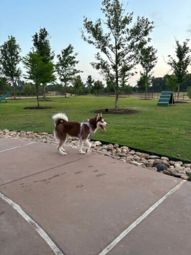 AC9h4nrZU4AcQWGqAfUaSDGSe3tSwVJYFT536Sdtpd14E7EjLPHOIfsT3ao6byevNzZWxPtNcPwJ7ZwdLT8g4CcUWHT3qi2RAqr05vJvlsr6Cat QYfEPuxPbUZM31F9CtE6KEcH Nwow1600 h1000 k no