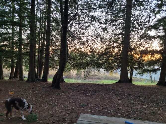 AC9h4nrZgiguNjnSjglKPxAUNjL1R EtVsZnQhctsJDTWZdyeQ5wQR klq70 XdJ7K6CQNOPJTiFGxbz8LvCy37UZwgSD4SwU5uvkA9Pgw1600 h1000 k no