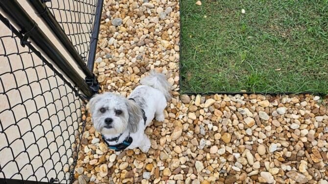 AC9h4nr C5F31OOpSpxUKAf1DsSv hXE0DA5BhB1LPDnDvwqry9E1fovSpAWczufQ9rji2blH8E0BVjwZJO2da7C053k5E7qUrar077D3ATI68Ylb9SUdh08kQCCa46OUjMp9KvtddB0w1600 h1000 k no