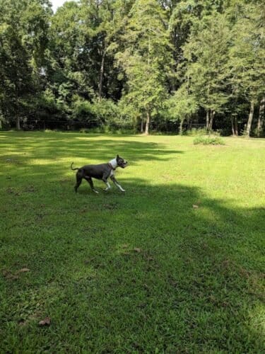 AC9h4nr FNxkpVVg425ExSnQgze1 vDkVUvp2EqRkF9jG gnT3tkgZy1cKylF6yEHPcyOvTcFHQQ2jYxxYBtV3DjkKc821e 1oni2pxCjKRo9Ngj8e5j95xzLRhyRYwi LyrR TYB7kZw1600 h1000 k no