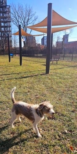 AC9h4nr M0GSrP7SWTTr 96oEZ9 wQ2Dd MsXZJCo FOgZonKlEQyNutW14Y4Z8EO25BUPf1ItcwlieHTg4hPradyFvDCH5n9Shy0INDm lyNaFMMPXQAQAN9PdXTZNSDPxTJwV7Xfbew1600 h1000 k no