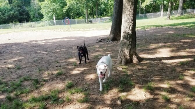 AC9h4nr XxgeIe6esgT8t47XEyGUHvnMJAkq VWoWZEJSVJiVnmcwTfATL oVZqXeim3gt0Z5GwnIEi8PI5CVGsgrHPV8Bm81De MZydSwS3 g GmpO2XEik1pZpuD m1ZAZXbPid3yJBAw1600 h1000 k no