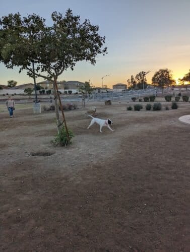 AC9h4nr b4YhfVglp613afOP8fd0PDEuMEoC2svrQc01eubx 63MybwcX7Ntp9dDlUZEz607OAw23buEXxp2eCdznZAwRwwd9fhwLC9RiZOawfRuD1zBmWP9ODh dkB 1dOY44s3uY9PrAw1600 h1000 k no