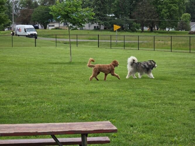 AC9h4nr oCLpn yvw8UfIFyUuzKhuPUsHRabYeuY134MsP92zZdf7B0Sv2v8ThRBX99BloeBouH k8scgxGzmEMxxFIDVGIQFAM1lAjPe8w2 tEX2ONv0RjLjxAX3i82UXxKDejSKwr2w1600 h1000 k no