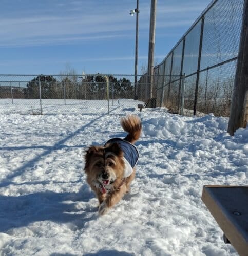 AC9h4nr vgc1ikG8qAunh3Vt9T32DJ0 knqAHp8H3q8FEb6XW76rodyXhqdLXdE7CTb4kiO9nL8r e2ShVxMoFJo6IUY7R6uqFLDobZMO6Ew1600 h1000 k no