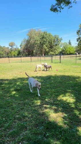 AC9h4nr zCGVkQMw n8CHrR5u8WqfkkuW o9 mXboRW0ymu nJriCVEovmnnDNq8axy54nL wfj3LuBovq5a2NE5YxEO9U3Ncilz4HonCyq7QwCzRqLNiJYfZc8kpS8sfSGNVQj49bB3w1600 h1000 k no