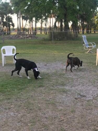 AC9h4nra08Y8kPX7a YcdhEnoh8NbTsgLUCCnjX7IRo4 fAGVnBO2 CZFuIn7gDDI5JIdlbCDN5dfjBiQmrJQsYMD9Wo01ZF4NhKJrznqZBae73D dysBxl2srh7hOT0Q5YpJlx0lg4w1600 h1000 k no