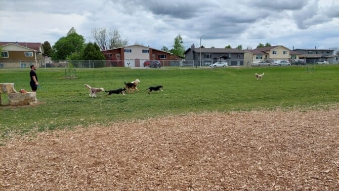 AC9h4nra1sj9M9kn4Jfq3IhjphXUAhqSGqwlA r00yQQXJVYwxfWTeRtNWtChoRD9jrF3ncPKHNQmCGN7j7 kZBcndZdebKV72MxA9XRnprBuTDyzh9 EbN3aZHVWJFP8uwz rZ3O6I w1600 h1000 k no