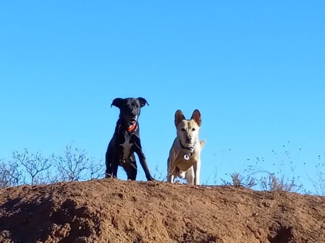 AC9h4nraFMFiP3zfxOiAd4WIgPHs bLRJCoy DUU3RTKYXOMnt3aE2inJJrnweNhkWwHW4Y4T XyfjfTJ4QatKnZhKQncgGxKL r0Yqgf8VOfyZjahvOAjb6UOqm7j0tqWgHZcVnZAow1600 h1000 k no