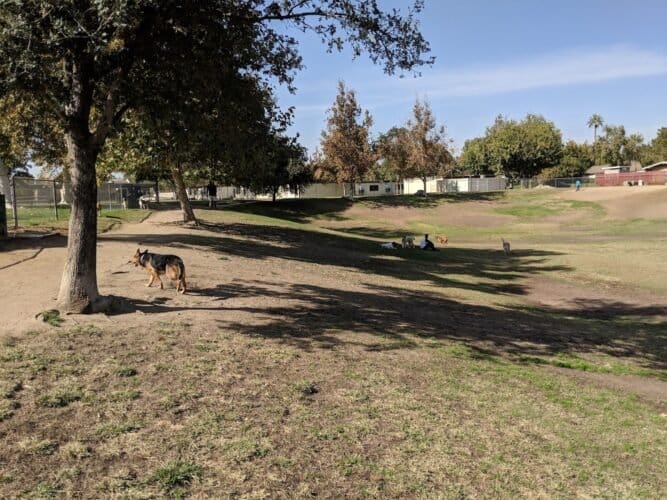 AC9h4nraI zqt60rKWRkd3HAxya3IbVlgsZnpKyTysMFDtCcXCtTQ0BcVN084CzH1kFk97OZl0sdghxbynaCfqalodFKZomFbUkrV6NE4QD8pvZPDJ4rle5TNlEyQCKefgX8Ao7TFIpkw1600 h1000 k no