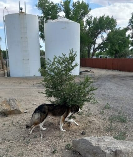 AC9h4nraLHN6Tv5DAObz6sR2 Qmmk2R9tvxauKw Nm64MtUpWw63wYHOkSL4nKEys0RpOq72nM hTdo8pYbVISwAV7Elj0REKof3MAGgskr6ScvydYR10YTTsDo6DIipXgQIdlup8jQS6Qw1600 h1000 k no