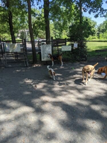 AC9h4nraP u7HexV9foRAI1rfWE6ZokG2SeGvQ7asCTri4wfIogjjuCXYSkAfQ  fEJ0xonrFDt9a0WMMBBCMldF7WEMgl49riYRZOE8EyaL47ZQpXHksiY4QbqJVPnBYqCgliThvAw1600 h1000 k no