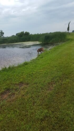 AC9h4nraSt83 IrCv9qhfPUHakXxtWEdlTSK2gia4 Ug63weO7Aqw2Map0Gt5Wipz58mWBYeOGOnHrg9kfjPt8H9mUAxI LgpMWNTmRNHDSSIN9oK2T7sFAd6KBzzLf37E7ld09  6v8w1600 h1000 k no