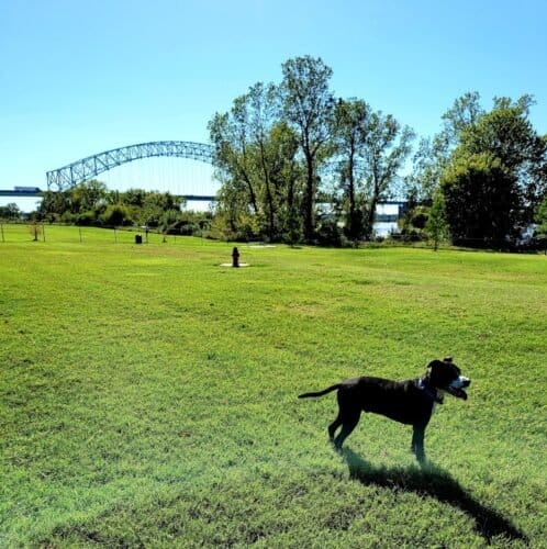 AC9h4nraVe 71kPGyS noUEP98lC3Rx Hpy20te 1BcBHzM19eJDuh1ROCmQBsAIbssOgfJS7wVRxg4fs0bRQlCmIwu8xjrYd3mGFxjYUihKlDF hah8qCGwOAUWV8vAWlyd7Jd5 qu1w1600 h1000 k no