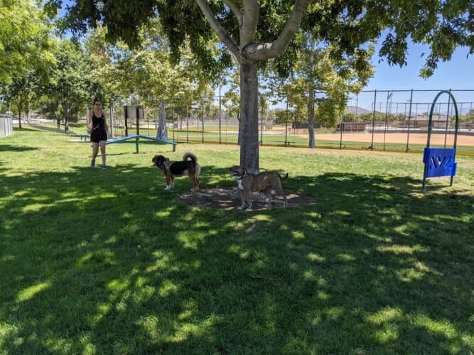 AC9h4nraVhSWSJjRnLg4IZ2netTVvAQ8 BwmnxEqS7w3XRoQn1NzhH4uL7UmMuYDXRg7S8jKfavHbM180 Ph1sfuf4miDj0qlLOb497OgZWUKIjV 5sF42o2QYapjNhZx gN9 4mbEb9VQw1600 h1000 k no