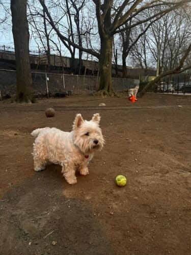 AC9h4nraYvN6rKan7pJva9hFi2KlMM85SF9K90ulQEgJN4 lH 7xqdjl3dNnA oD3UrXdlYYqcU3LNOoJjYBC0NkKjY0F6jnFuhFvIi0cnEPfDnv8sNipDw9aW22k73VYvhegZK9E7P ZN3uZCl3w1600 h1000 k no