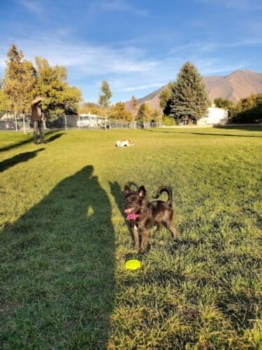 AC9h4nrah7lZvwNonWF822ptgi1uEaVEzJeF2BWy8sbrdeIC80 jwh30oqPj9yi7g6VT oxbuTxe3Jeq5Qq PZqlBZcdjal99 jxQru22bYUtIGiOP4iPkCROPylCAAsMgZKFpD3E u2w1600 h1000 k no