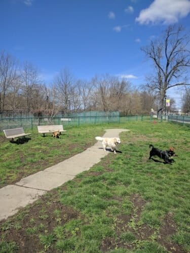 AC9h4nrajAyuCP81OcjMKx1DlHw5v Ol8OiI68QifTQ2qio 0FQKuuzBLvvjbIASTe2 rs8fmOGZUF77NFKoUTf5VCT3I6NDY4f0l8MCjSZxyu8Yo0kMricJ9ohOOm32Fh5Dfoy BDqTJQw1600 h1000 k no