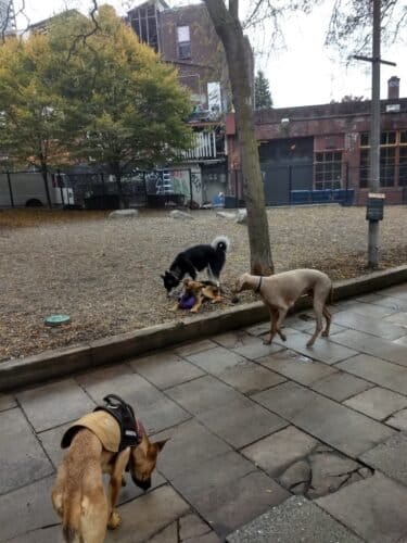 AC9h4nramU0PqRZIafNcgjt0 z1YTvJfUHIhOO5vsiWhDfMy1K4w0cQv4Pvlcf5JTHUZlony e25 YB0JyckU52Q4ZFQq ULQhoy5aynIvGQTsXEwwh DoZAxy713NhwD6VRnDwzguFf1Qw1600 h1000 k no