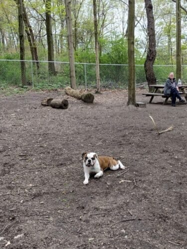 AC9h4nraq2l2VTNsXwkX2NDsYJp3NoJLl56GPf9aCFZmqtTY4nlFcI7kEHxg05fI99W4r0k5AGCCgrJqPQJyrs4HZ2LuN7pYM3nRNmbZTrtbNRymZmJE65wbSucw6MMQeKykHnM2Hw97Qgw1600 h1000 k no