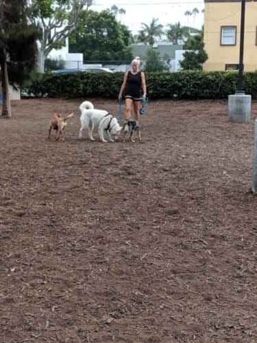 AC9h4nraskwQ7UuZGkzNibuEB5dQJYPaOFTqByQbFiCkKA0N0ZwG4wkna QeM 51Yq0PUK1LUt4zAI981hofLZOsIRxwqaPhiaa3plI Aff36ACMJZng U89Z HuGZVnKL5h RpgsZw1600 h1000 k no