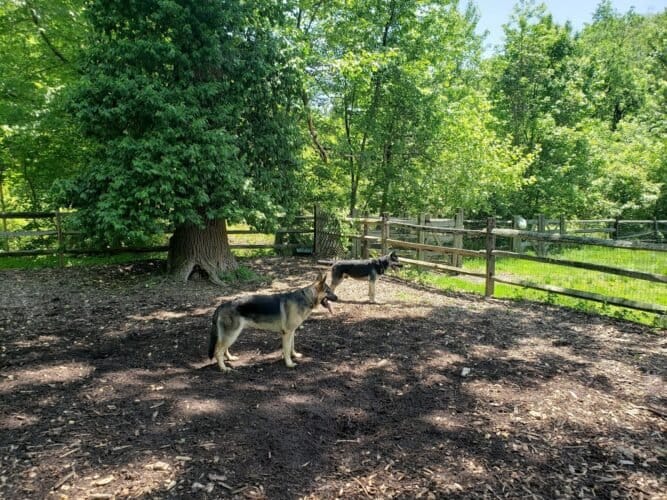 AC9h4nrb4 q6P3iCTQOz0zEKhXxo5LPd6QW0Penjp2yIQfY0RMdqINA9ak ZmS  Pviodlu0oXOFJnUTrHh2viVnTDK4FgUs qZdE0Gm2yIRnQN65UQRWruEllnJ5QY1tLejbtKazWPBw1600 h1000 k no