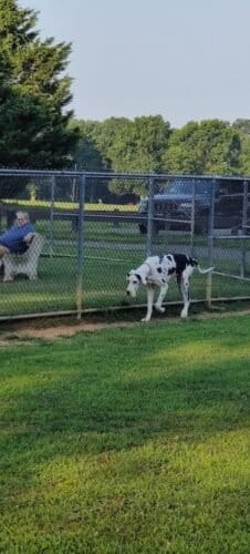 AC9h4nrb5fihxjeLEupC qkikhJWDoOGhoz2aLcEdz7AZD3hDUYyegkPCBSS2UDjSPDS7fd0RqMhZQXuTcQnFdxzpFFslmDLsUfztr7B1JkeALxsHciy8HHqzr6ImE78mkodfbsVpfuYUgw1600 h1000 k no