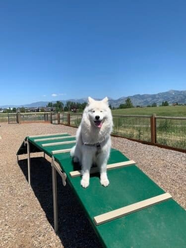 AC9h4nrbEeV8Nr8q9kAgjHVYD6H0Vi RTcY7SHoqeZ9m jw XwWCt1tCPIwPXpnUjvTR7XuNBGJ6ra1MZxa4UpNoWFk3DU hPNnutcIgY7DC1r IvaEQIn0 OgDTd uWb7wahSCEvh3pwAw1600 h1000 k no