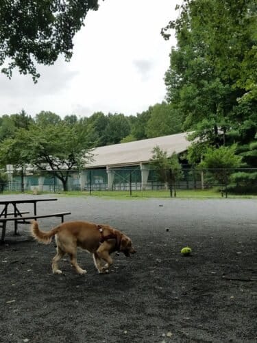 AC9h4nrbMk2opsp rmwtJV4NUoU at8hD19cT6S7 Z6mmaceAdezHH3SeWAccjg 0m54T FPhJ5R7i901eqp5arwvSfWWTXVl7bozrzgH6rhH7po5XXaeduPpnQSCkKAI unVA899svCCgw1600 h1000 k no