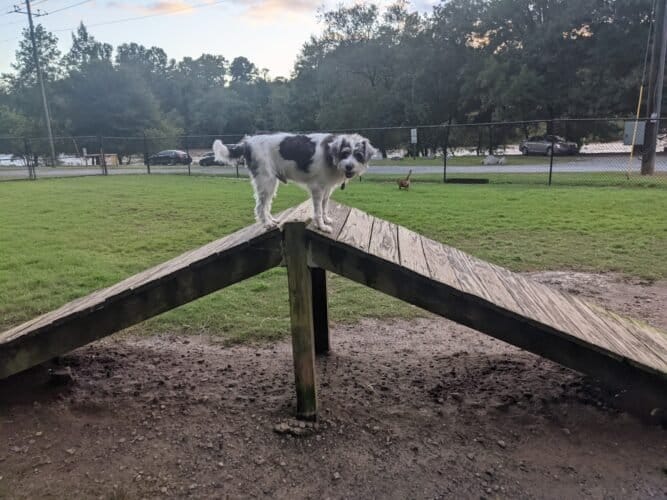 AC9h4nrbNwZOiS6Qr0F3xPojT5nKXZFNibL3b66ZSxBSG0ipwqhjaiKHWIG1jGz6cXmRt1jteWzFE4027gyEILj4PGJL gVpsf mT2gZsr5OZohVDjZ1RIxMFn 1GpGb0b2ALVtwGsww1600 h1000 k no