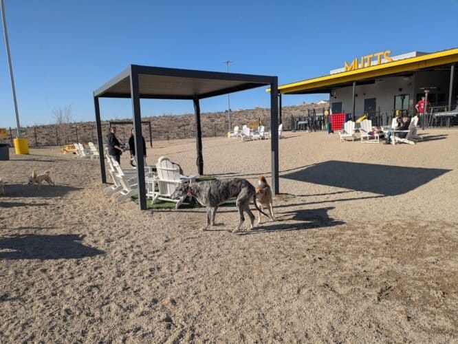 AC9h4nrbQkQX93zYtH uXUrW66uSeQBzIJi DMLSKUwNxDeS0Hf5S4qgP1AmMcSkiXXj3IDIjdDWAx2dWMnydvpZ9ceE3PE HhCvj5bu4PAw1600 h1000 k no