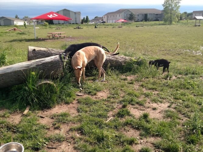 AC9h4nrbR oxsZSaTV9DMk1C33wcDvqUnHc6vqgn mRgeODpdUKgIrPeB97ZqNELzAbs5kbujLk7fGkbfHWZ80T1QkiVbTQNkDRWUo5drz qsy6JccE5qK8kPhKOLeIasjwM bjaweCW1Aw1600 h1000 k no