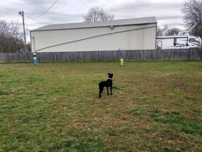 AC9h4nrba3YdCLiz7IGqpPNnmf5XGu2o7gRn2aUb4uoV6Wtde1kGZw49v7MDpbCztc7bAjil4aKmqL tCSPoJdyj8n5xSBrjyTP73GBY1WxYNlcLlCTLmv0hlYvYN7TYDapA Vjkq5MHCQw1600 h1000 k no