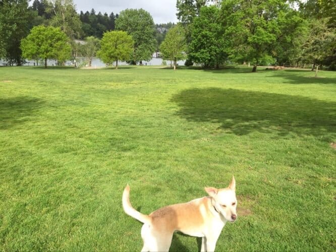 AC9h4nrben9zKem1Ai2Em5Ptnmj2KhJzKDTgo WektoXQRmzvHVH2W242HzrkD83ksoJ7OjFkD UYg4LzRQZxUbixSbTevpDVLDMWiV6Ygw1600 h1000 k no