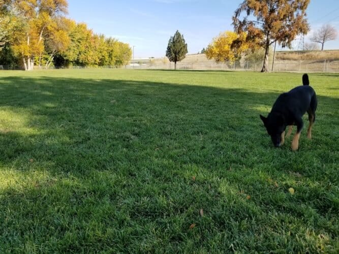 AC9h4nrcHzg4ZhXIPr5UPGWabsjQbed3X7bgPNUSDW Gm AE41dyk1E3fY4ekDxJPTq6vnIiJqDnhGGm  oHb0ZZbvJ4QtKjmQ8P7W4PLolf E8P37zApBTRGWnCLn07Pb0JIsjIZQDrw1600 h1000 k no