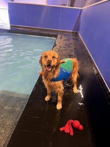 AC9h4nrcO9v0Vk3jQLcw7jYBMXje8WjXAsF8XUxSlZusJjusNqdK 9CIQvHMsDv1bHRmv9tMbahOrYDsDoalsNUohB5WJ k9q5EZyeytJ0gDJj7o4v8TPBj4THhFfCOwPFRF0ZEQglqF 8lk07nnw1600 h1000 k no