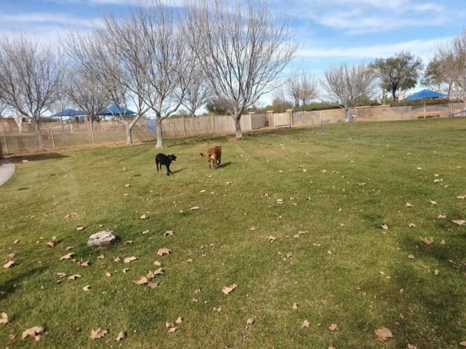 AC9h4nrcTQun4npaxKp ewcjWCxzeDnjKCIQ 4KeN3v0Xj2Lb3NKVkhGbDB7R ruPUVt4dHK6Z3BDQxQipVzCco6JNqKeamADvQ3FNn4nSImdKoso6Myg mlabBX uX ODiGIKJ9e9G3 gw1600 h1000 k no