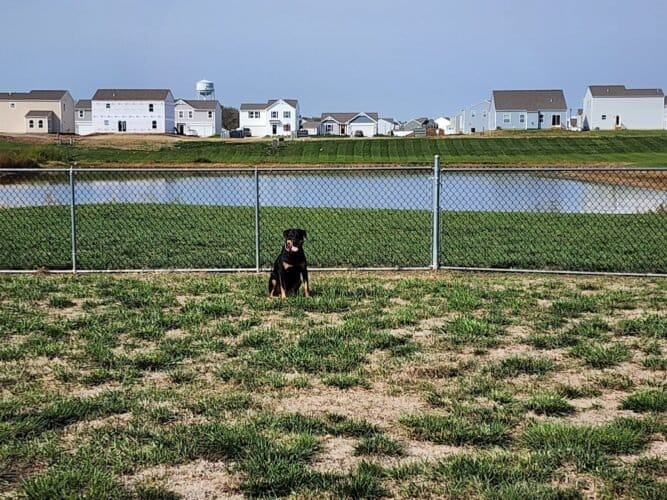 AC9h4nrcdT0Qft PfwYDU8rgMmqUGOjNlX0xN3uuwRV3AmA390tRRI6hABabMQJ72ukS6dpMqLzuCfaDKsSA RzlLbWF iIxG5ikEufABwjORg8 fIMc1XDkMHFzX jGleKINsmNRvNlw1600 h1000 k no