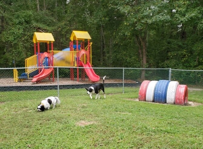 AC9h4nrclInJRDiRNiJVlZBTYtwWHAksLSnc1l91v5kc swJ5W4S0qBiOxXxPvc6jGVB82f3i9ekCZiHRhO841vggA7LnXxqF2oa0Pe673liuJpZjFCwAxoCdicOsh Zqf1OHsjuWUVuMQw1600 h1000 k no