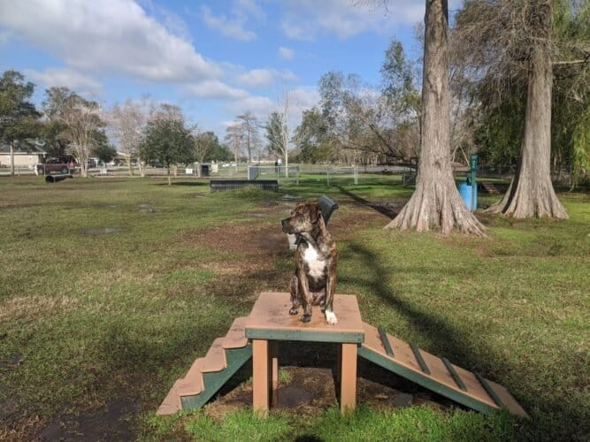 AC9h4nrcp9wrqJptd5PlT7CptI6RGfb8F5WMITfF7uv3Sc6toRb0ZjeAxyMu0FIfuUEZDWLbaG52M ISfQhM8riy9Ir0t5sLTz2C7jz1G6yw1oDyOBtcXS0rLOhA8Upf xKKOXtfIH6vw1600 h1000 k no