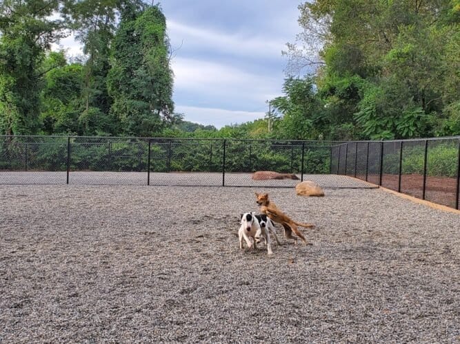 AC9h4nrcqytQ8kutI4ji6fcES2YF z5vTMUS23AbBh2LcHafoKunUte Mf5thWaduKRxGquQ1I7EZ5p7pwQ2TWKJdLAJ6R2DmfGyKggHB4J7A9mZS92n4h0h4FfCP6 XktBUlmi9B3Uw1600 h1000 k no