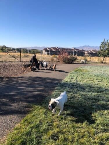 AC9h4nrcr8RhlFDgFpilEMN80Z07ygNJLuz 1g8ud qoY5gz2t HsgntAbzU74tmbgbdg QrTl62ZI97z8 64i9jGrD4QTW2TsY1ANsBRAw1600 h1000 k no