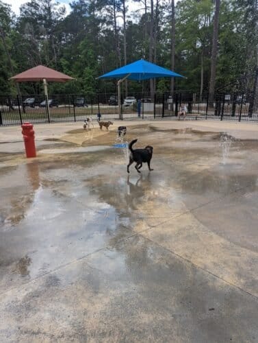 AC9h4nrd1 9RnkQdS7wseg8eFi1hP3qFUWl99eWifEyGuorXCi2 NILeXvtNQnE6zxV7QrJKsPU0JlKrV0a9QvFCIbkBpqSh tSywICWq7zqb4H6JD0ELMsO9RW2ZwGy9lng2sarxr4w1600 h1000 k no