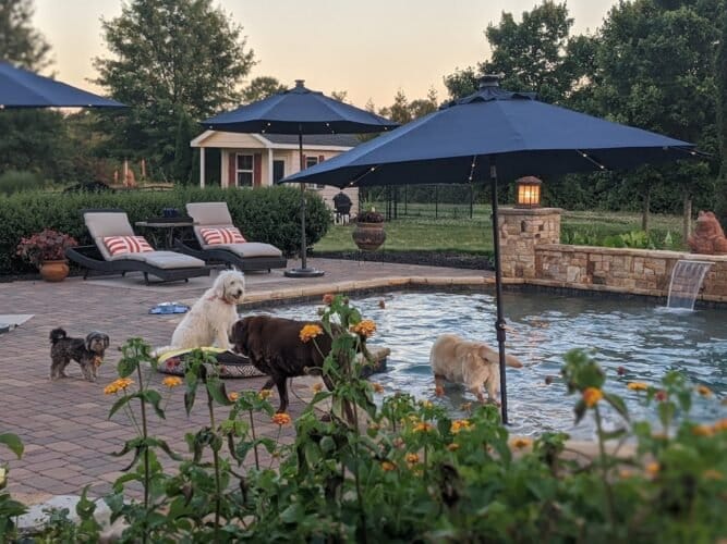 AC9h4nrd4sFxhd8xKQ86TepNG jfDFEquWHxYcr3wG2HmIQEEHjCW6v0JQ BwLoUPHVNWx Ifhh6Qrq45Lodjbx50N3Tl4ZcPX5bbikUwbm9L9rQjoHrYBxEHCUvf7OfsvEZcqq6KsAw1600 h1000 k no