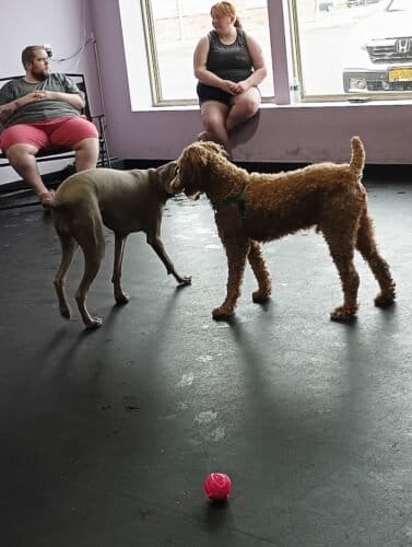 AC9h4nrd7T ktbi3opQTYgvL9qXp1L9747GyWlkjHuBF3qUmO76ZiAnTTJSZ5Jwvx3lObQBVN9rhXMlgsN8nRZjt5a1sbuZdFNjmtcv5epn A2EiS6TER9fikSFx54ke1jNMF5xXx9GPi74sSFXDw1600 h1000 k no