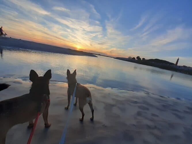 AC9h4nrdElQZT5JHSA0swHISGa2KHwdi7ul5rj305YOb9TqHH9svs3P5wHKbyoThCMTivDYxPNzb Z tnpnoJHoYDFHVEXH7f2t4DBpdDdqmhBcgnCt8gZ0xtsFPMH Hp92Ri8xHPZ jNAw1600 h1000 k no