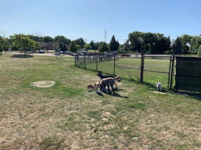 AC9h4nrdHKeAXNXsVaYQ8B9qlSfxQXRidD5hw5fjhDhULzNhv h53 LFNn9UeS8sI7oq5XBioL zaQBKKgJSnUE807uTTFrQ9c3db660fGHiXX2kE5wtNqfyYMubxPZRZBVRgJwdzUMw1600 h1000 k no