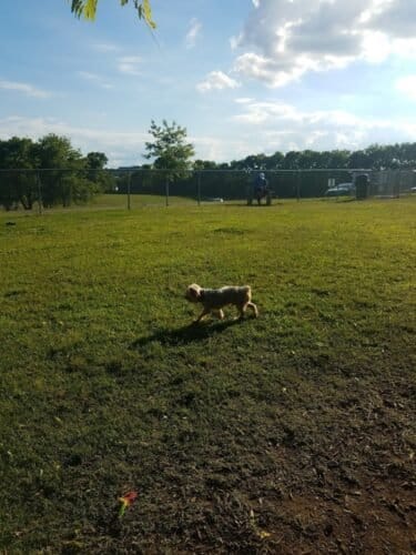 AC9h4nrdMCkX0TbPWRgr 7nQSHPMSuUgaNy37WY 5a6uJpMpyd7EAhD10KWeqOBrZx z9RZIG4wH2Dlw35W65o79IHa efoKbmbyJ8Y9J6oZdxl5CLKY8bz3s sy5jSAbBUzRLuuSkkQLAw1600 h1000 k no