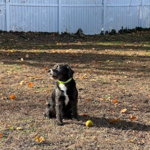 AC9h4nrdOS2P FxTva9qAolc3  A91XVmyDdy3doF gXfFFKvD1mwFa8i1zHuo2y6Uue5E4lr2vessuVBVMFkMaOT 0I7iIm2Ca lRtbyKoGyL3e8BoxK BdOzOX6VzySSotTNbKV8wdw1600 h1000 k no